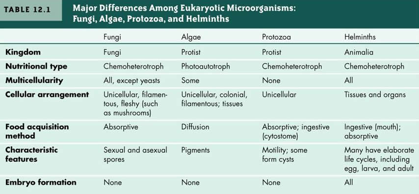 Microorganisms Characteristics Chart